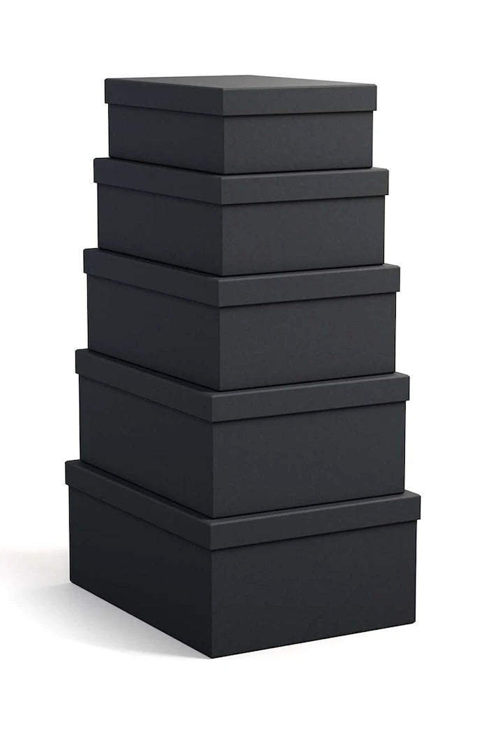 Bigso Box of Sweden Joel Saklama Kutusu Seti (5 Parça)