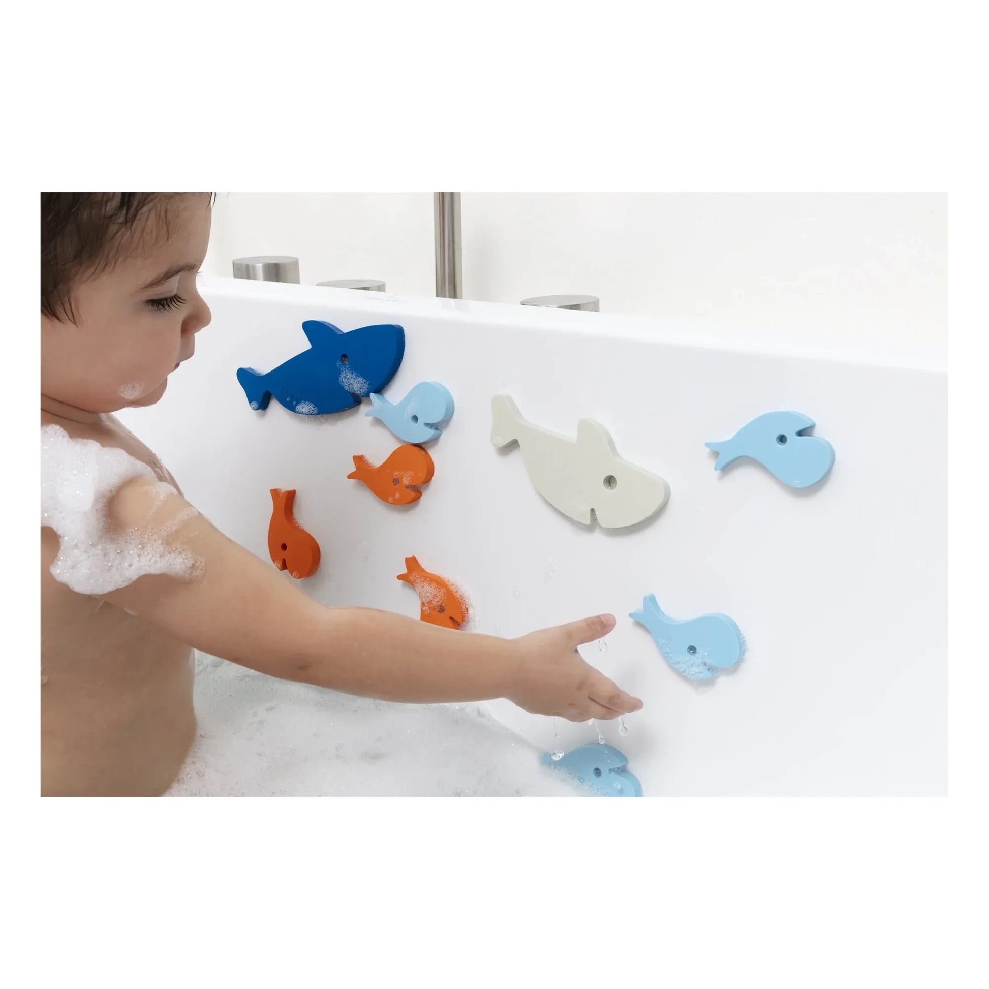 Quut - Shark bath puzzle