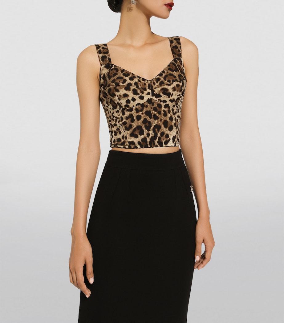 Dolce & Gabbana Multi Leopard Print Bustier Top