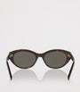 Saint Laurent Brown Acetate Round Sunglasses