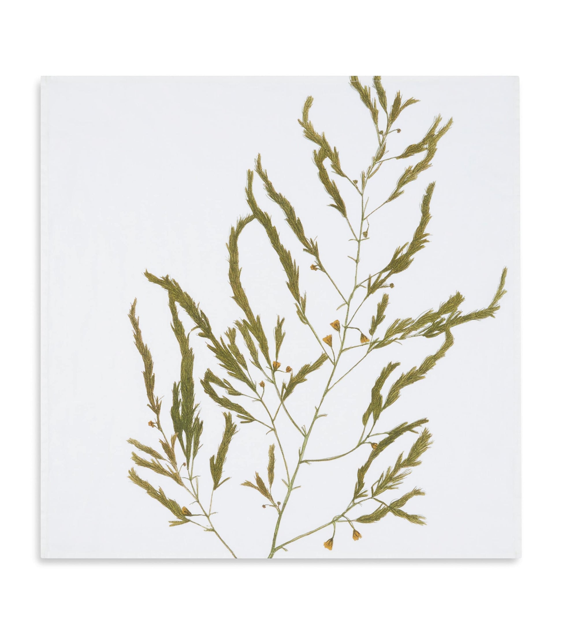 Set of 6 Linen Gastronomic Herb Garden Napkins (50cm x 50cm)