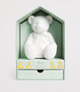 Harrods Bear Paint Your Own Money Bank