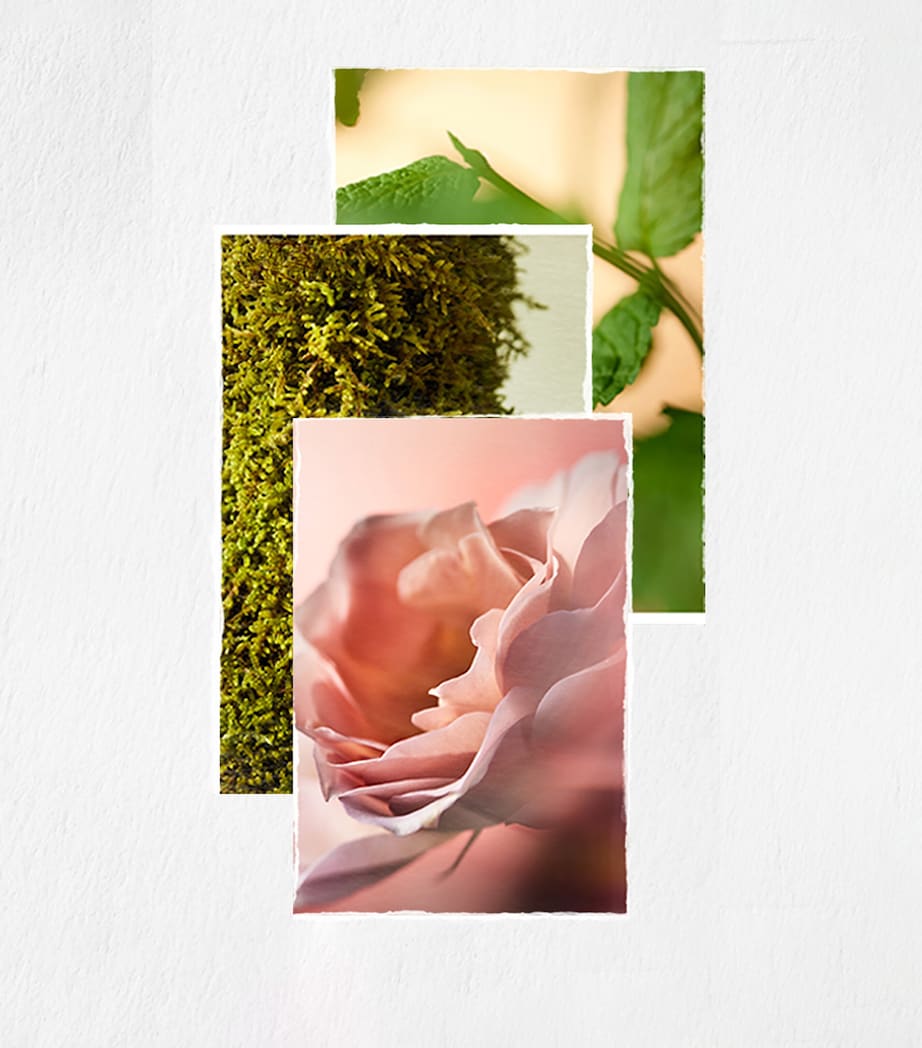 Pureology Hydrate Sheer Conditioner Hair Conditioner (266ml)