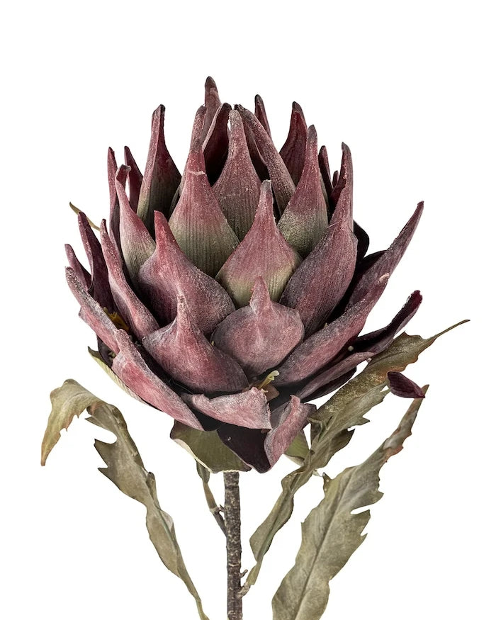 Yapay Bitki Bloomingville Protea Stem 76 cm