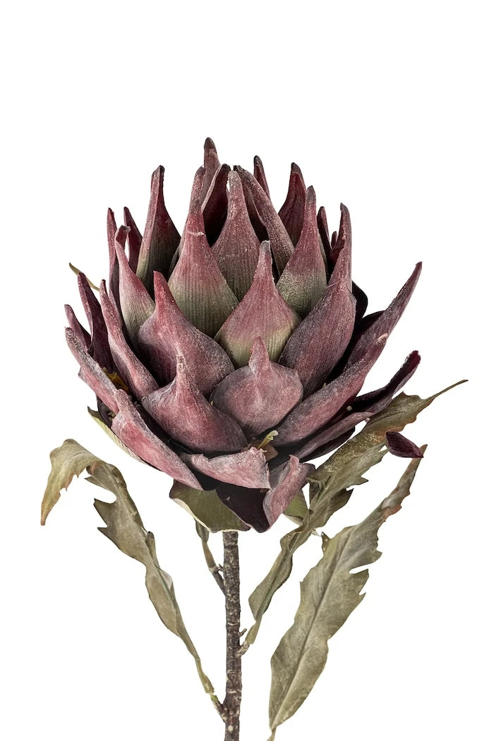 Изкуствено растение Bloomingville Protea Stem 76 cm