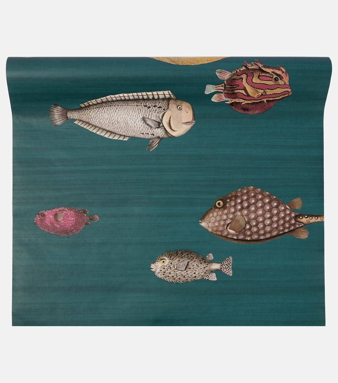 Fornasetti - x Cole & Son Acquario printed wallpaper