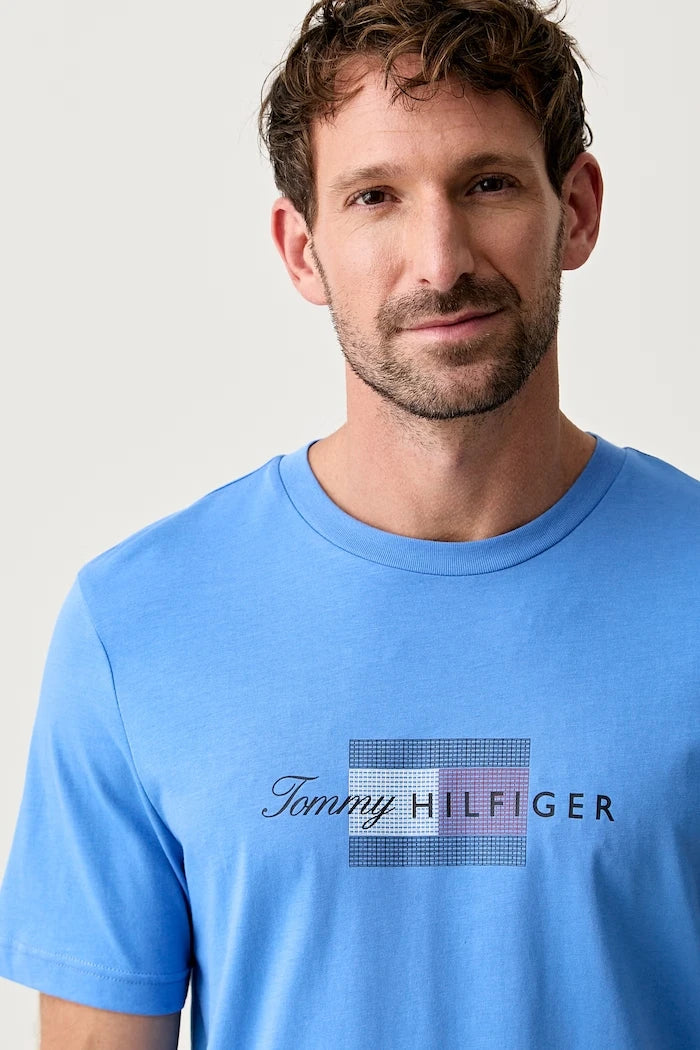 Tommy Hilfiger erkek pamuklu tişört