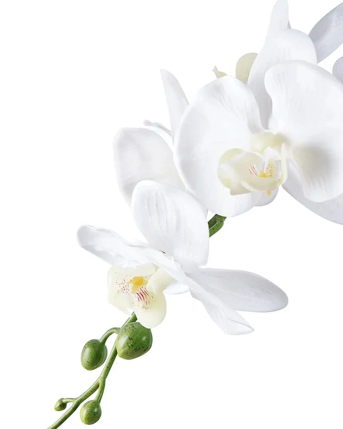House Nordic Orchid Yapay Saksı Bitkisi
