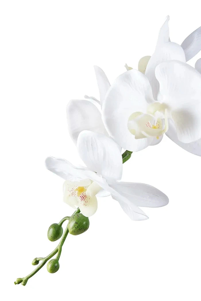 House Nordic Orchid Yapay Saksı Bitkisi