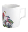 Meissen Porcelain Fancy Birds Mug