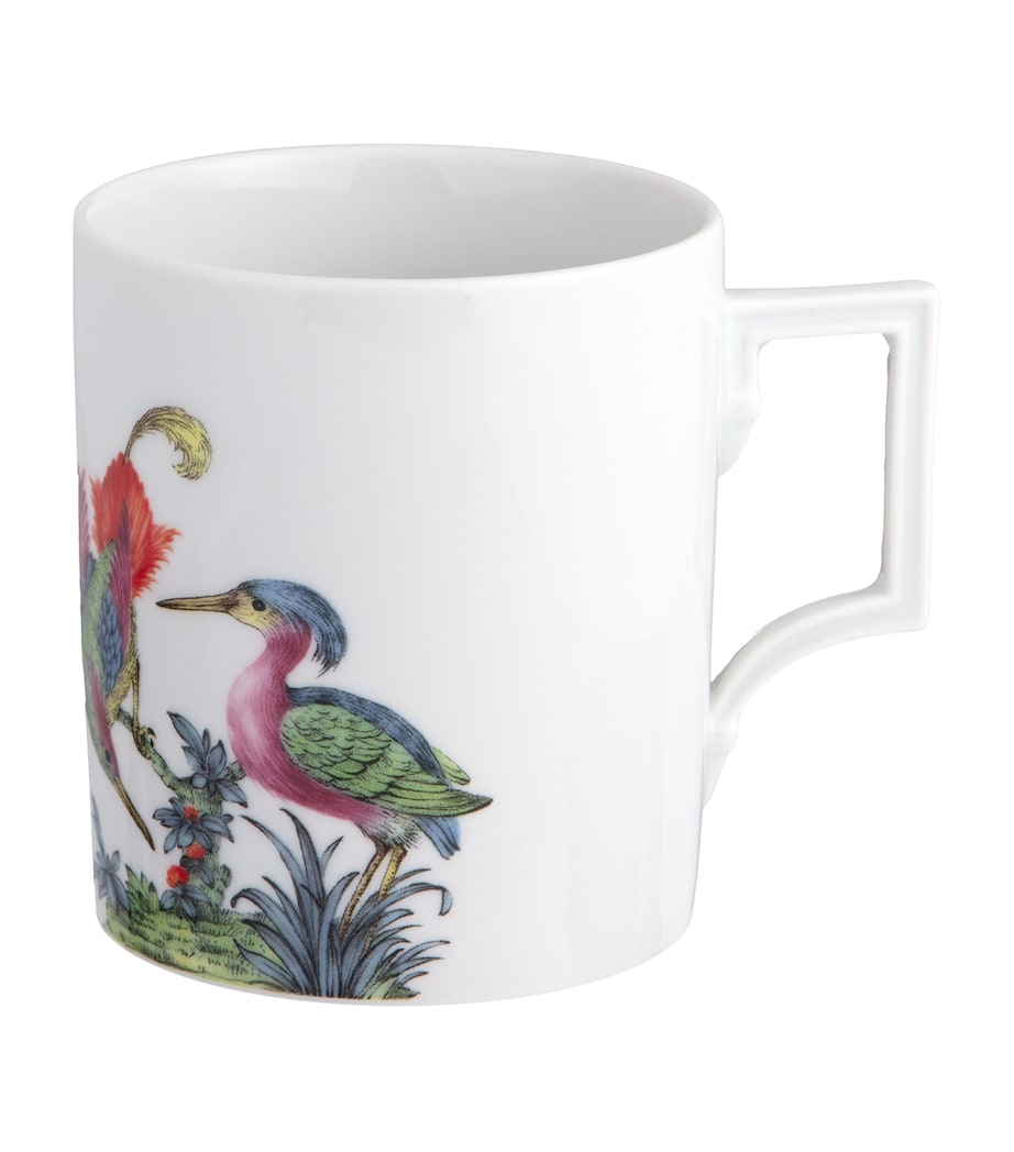 Meissen Porcelain Fancy Birds Mug