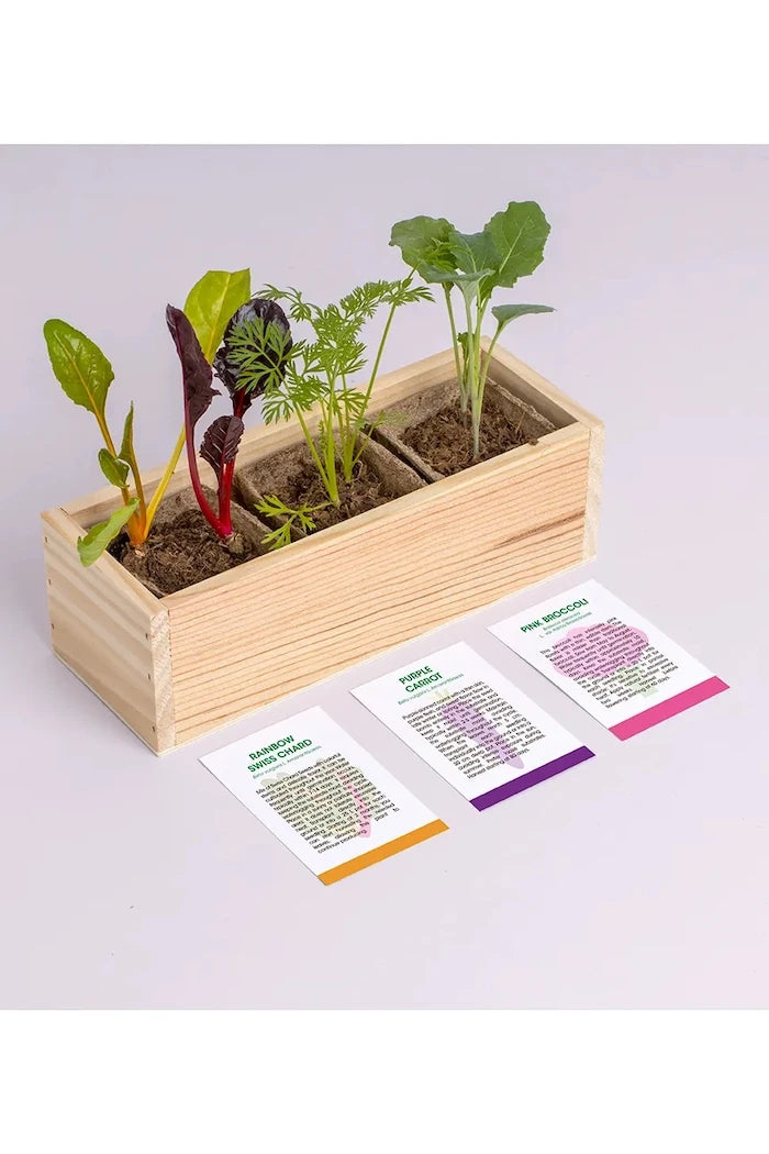 RESETEA Mini garden Strange vegetables Bitki Yetiştirme Seti 9,8 x 8,8 x 8,8 cm