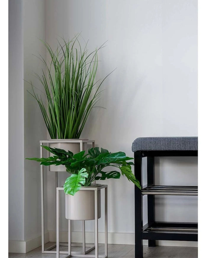 Saksıda Yapay Bitki House Nordic Poa Grass