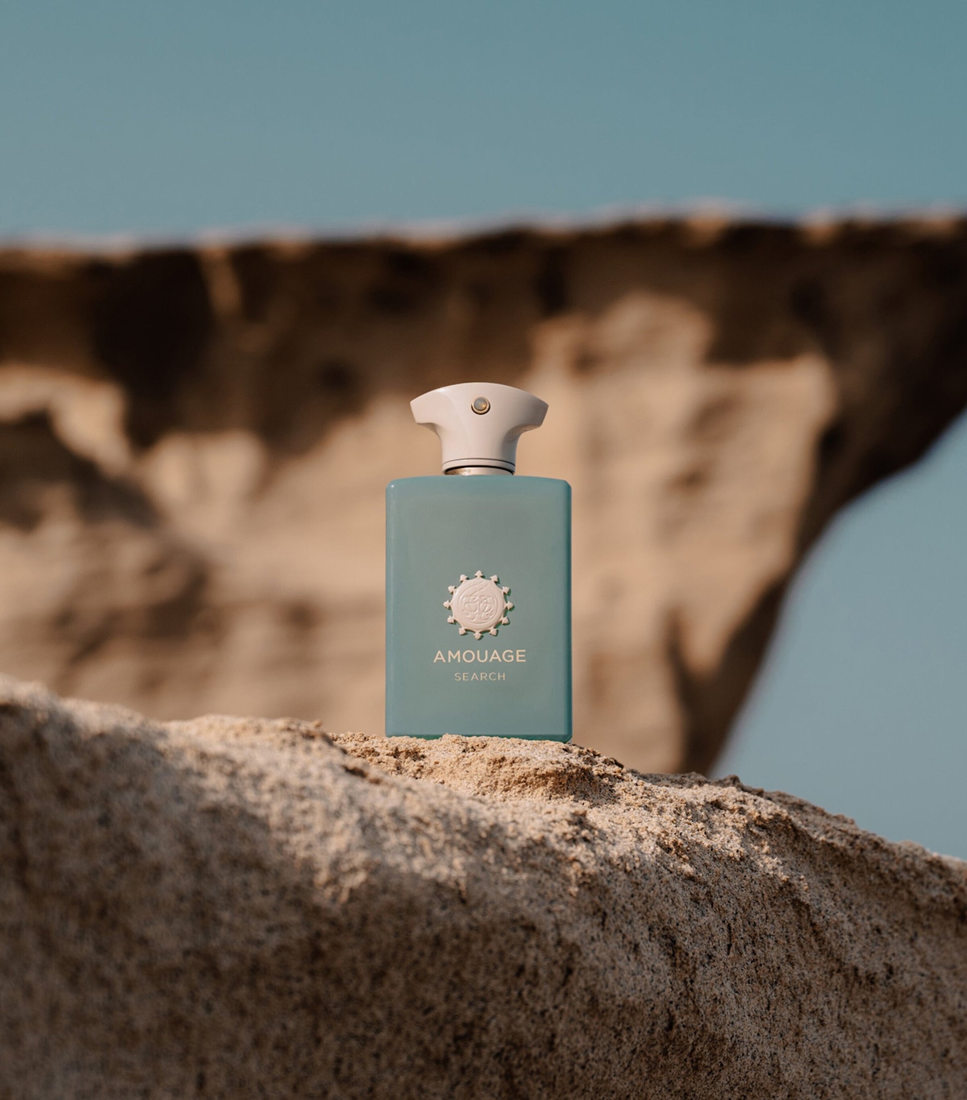 Search Eau de Parfum (100ml)