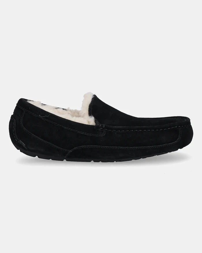UGG - Ascot Süet Terlik