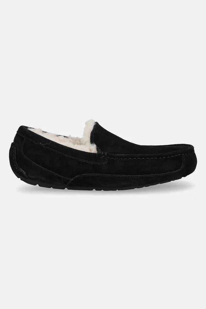 UGG - Ascot Süet Terlik