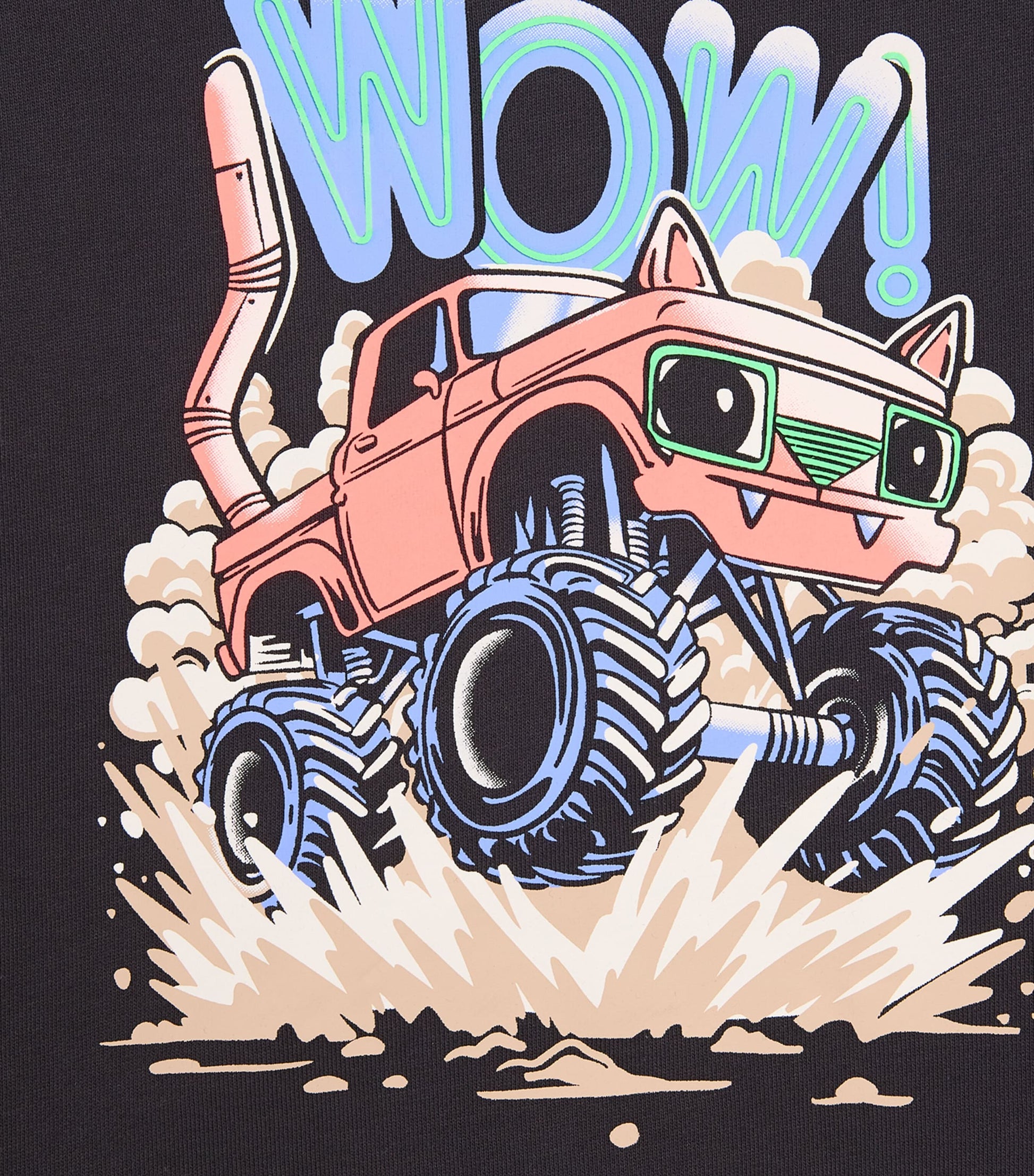 Cotton Graphic Sweatshirt (2-6 Years)