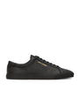 Saint Laurent Leather Court Classic SL/10 Sneakers