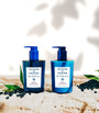 Blu Mediterraneo Mirto di Panarea Hand and Body Wash (300ml)