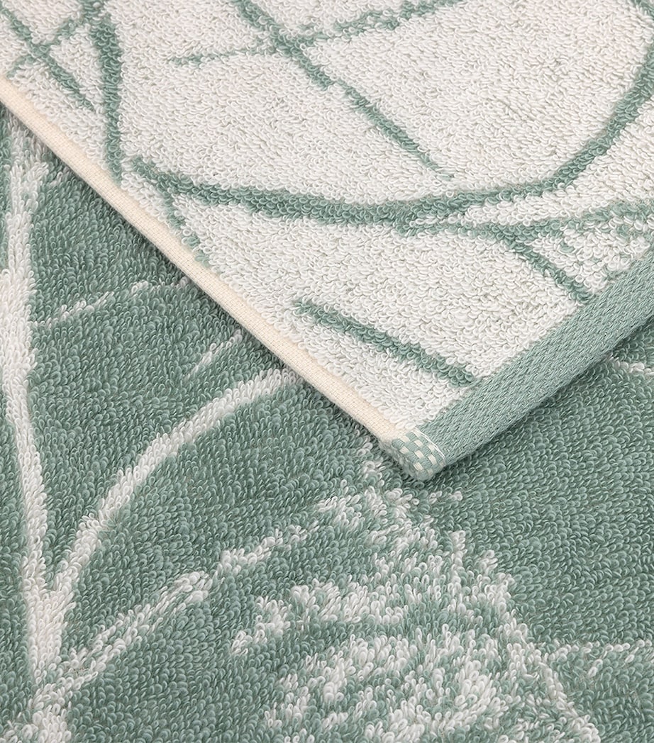 Graminée Guest Towel (42cm x 70cm)