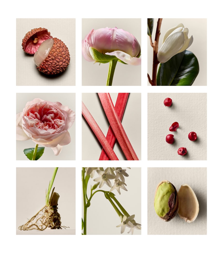 Proem Eau de Parfum (10ml)