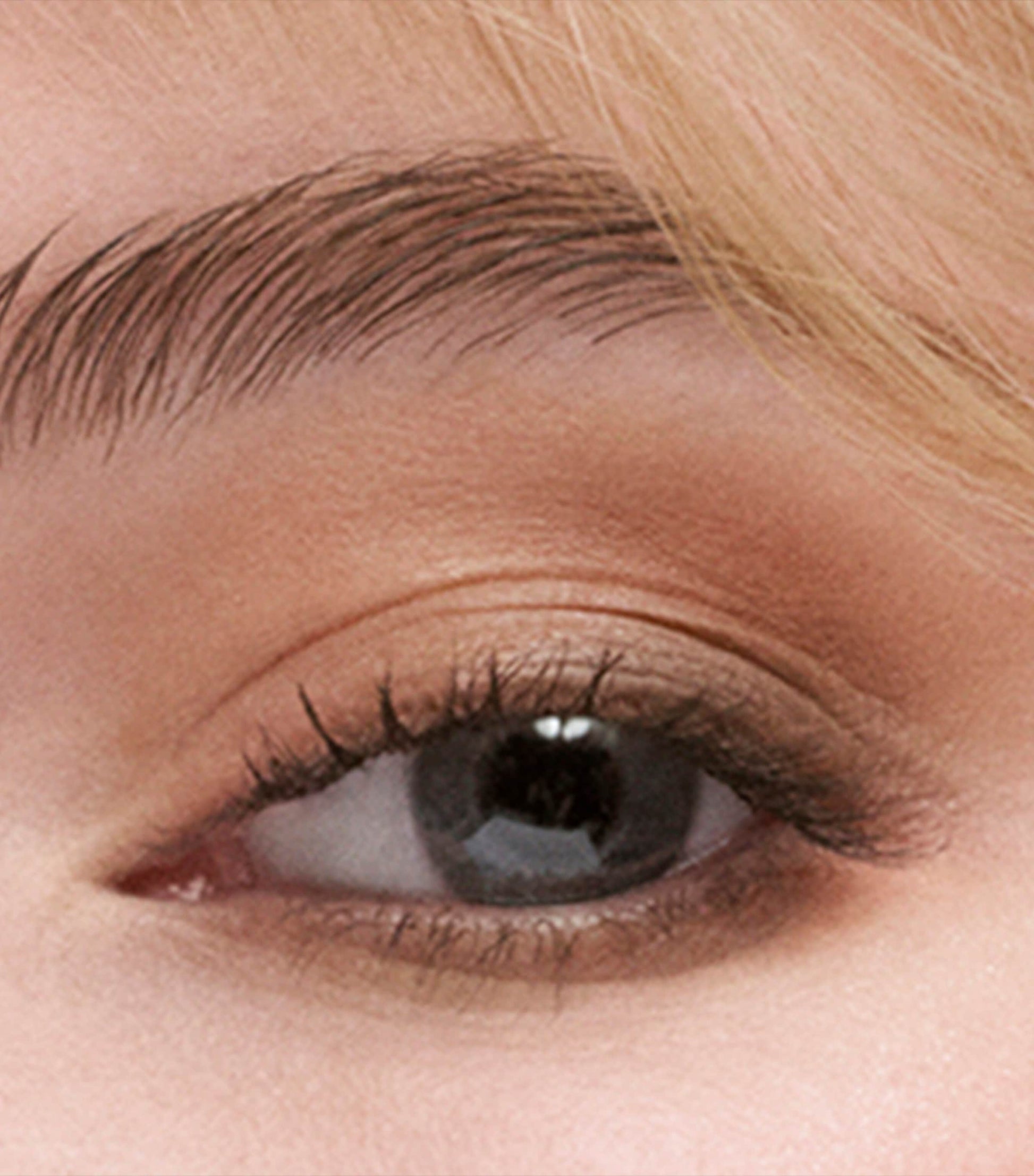 Estée Lauder The Essential Eyeshadow Quad