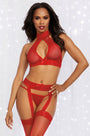 Rogue Rouge Bra and Garter Set