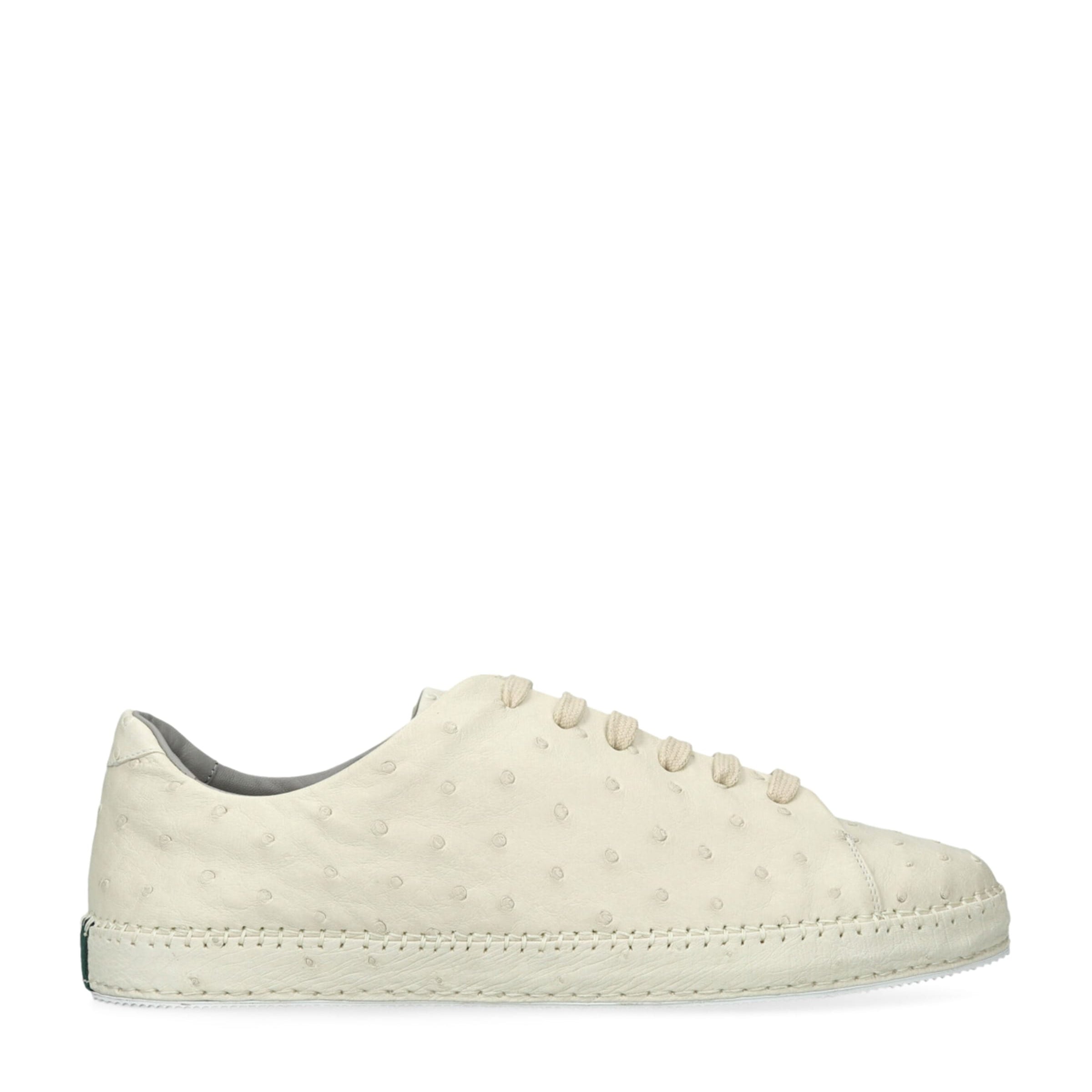Brotini Ostrich Sneakers