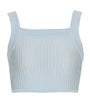 Balmain Blue Knitted Stripe Crop Top