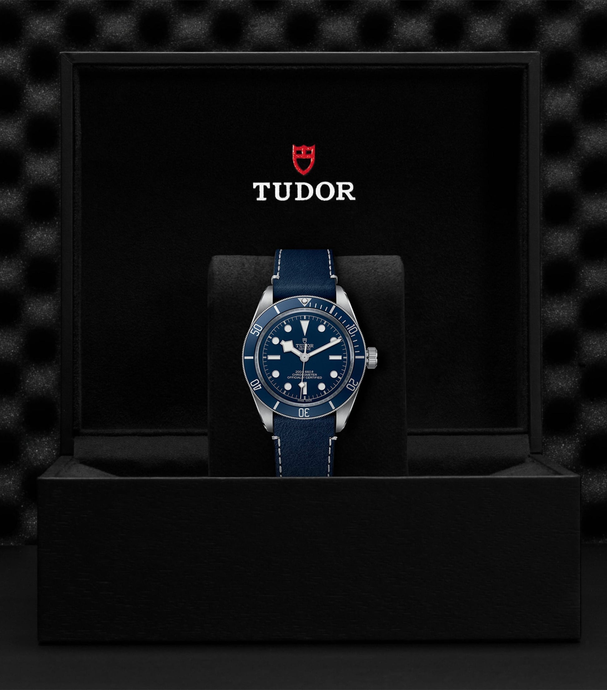 TUDOR Black Bay 58 Stainless Steel Watch 39mm