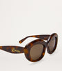 LOEWE Brown Acetate Dawn Oval Sunglasses