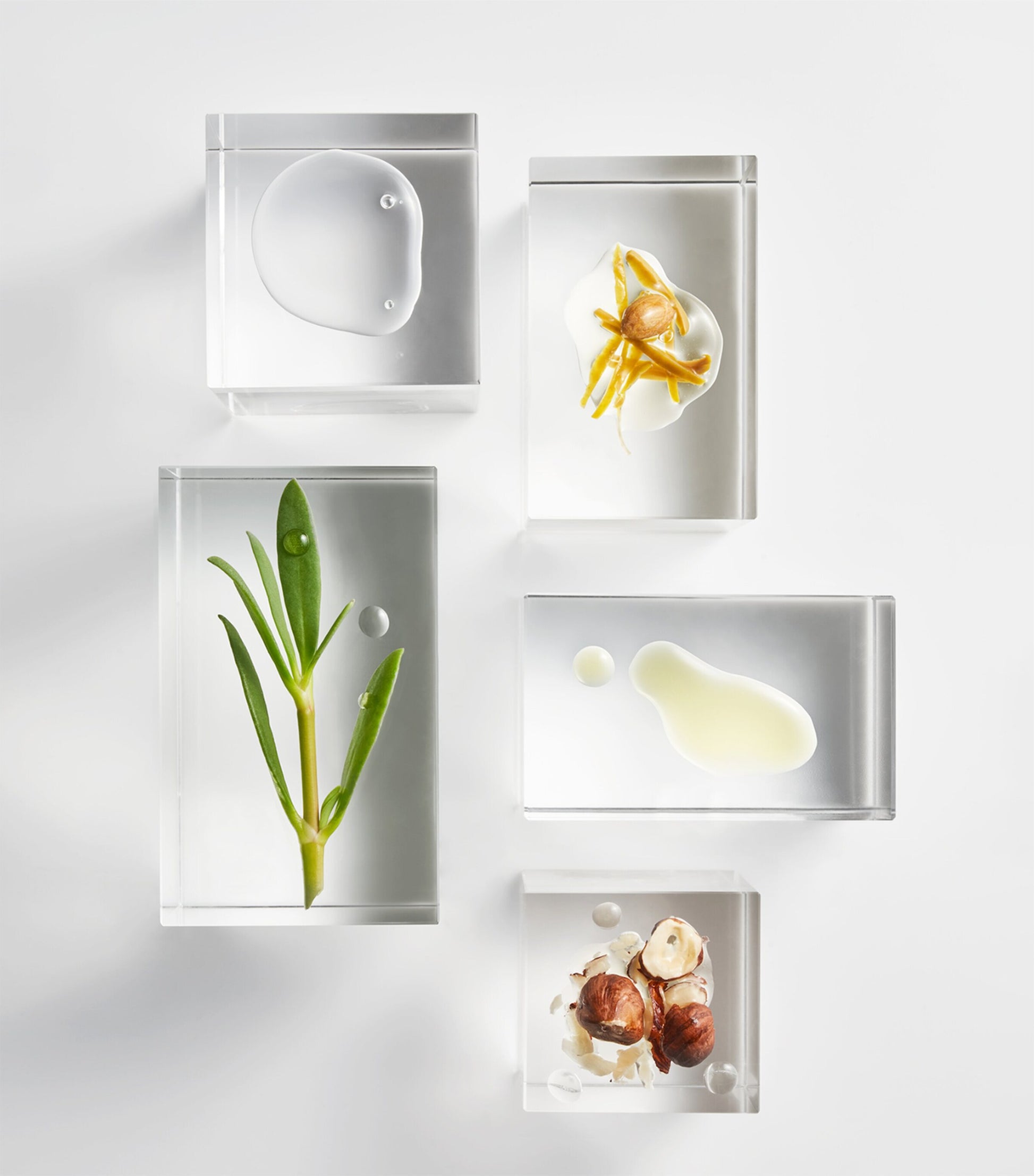 The Absolute Nourishing Lift Oil (30 x 0.5ml)