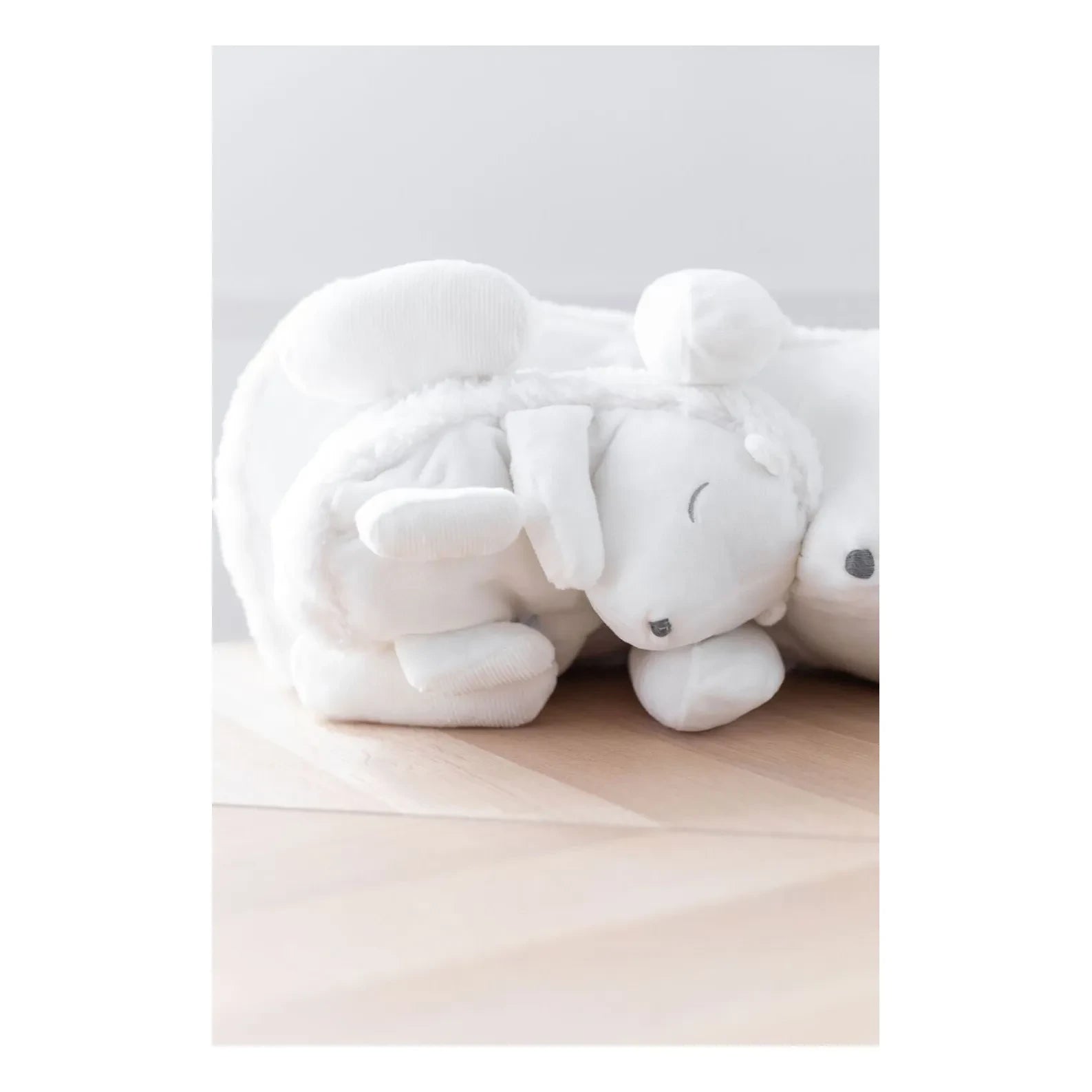 Tartine et Chocolat - Sleeping Hedgehog | Ecru