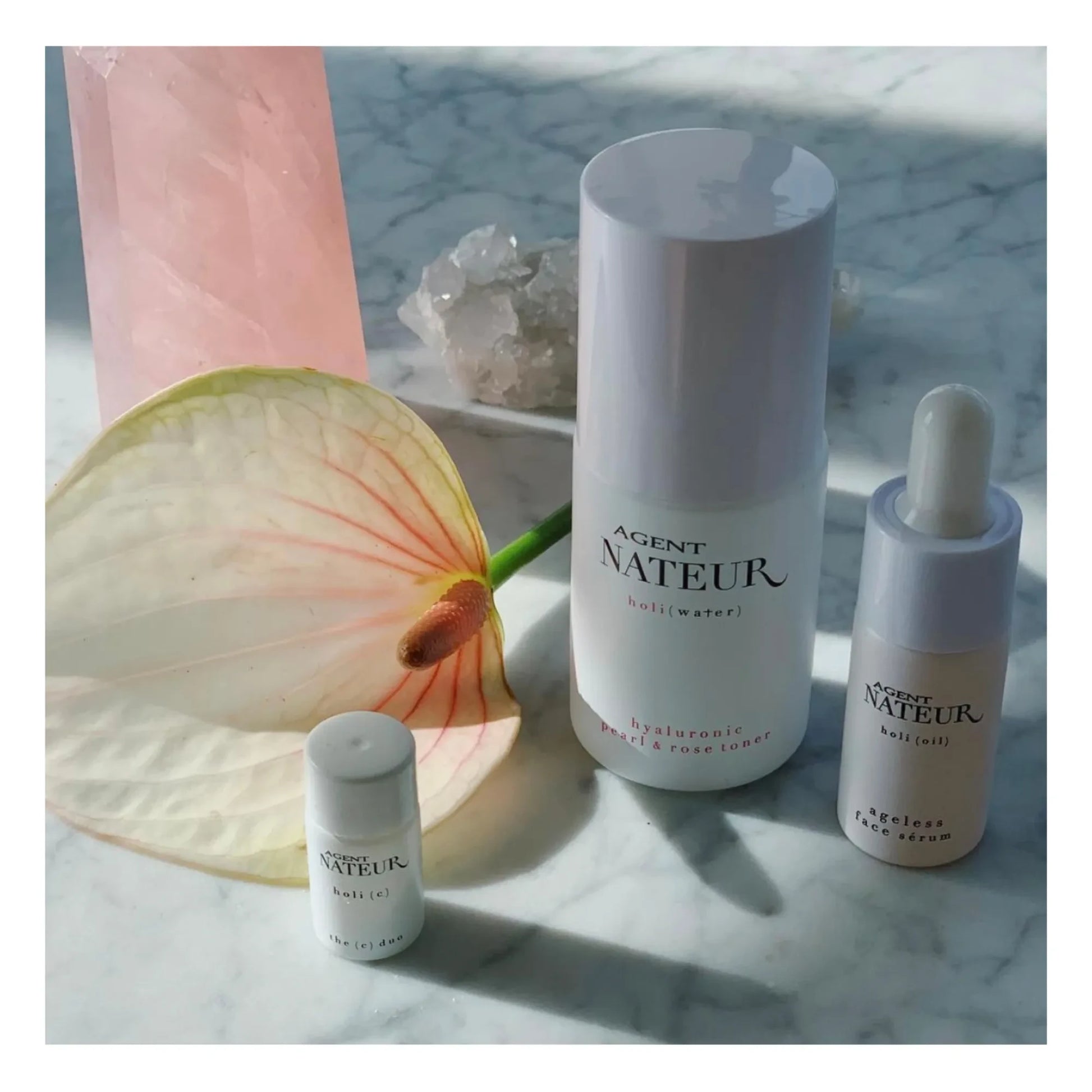 Agent Nateur - Holi (Trinity) Skincare Set