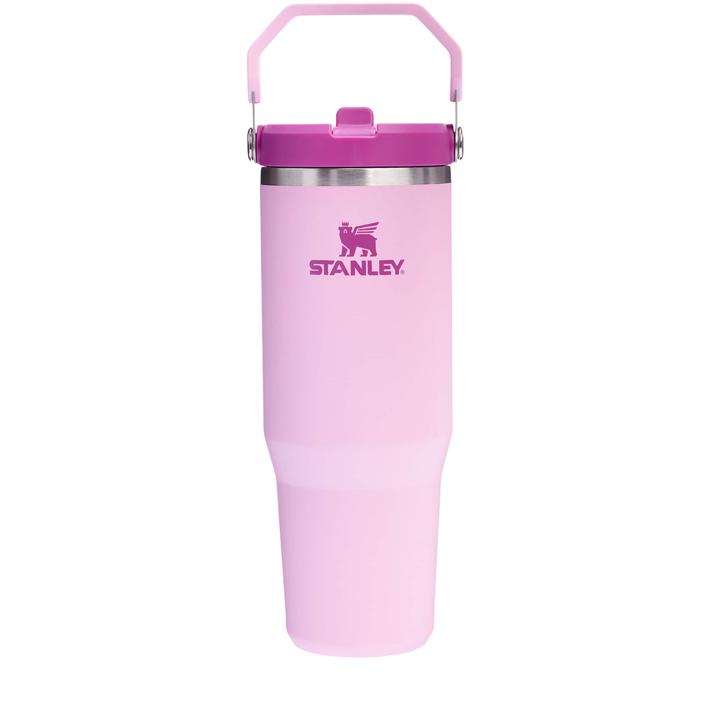 Iceflow 2.0 Flip Straw Tumbler (890ml)