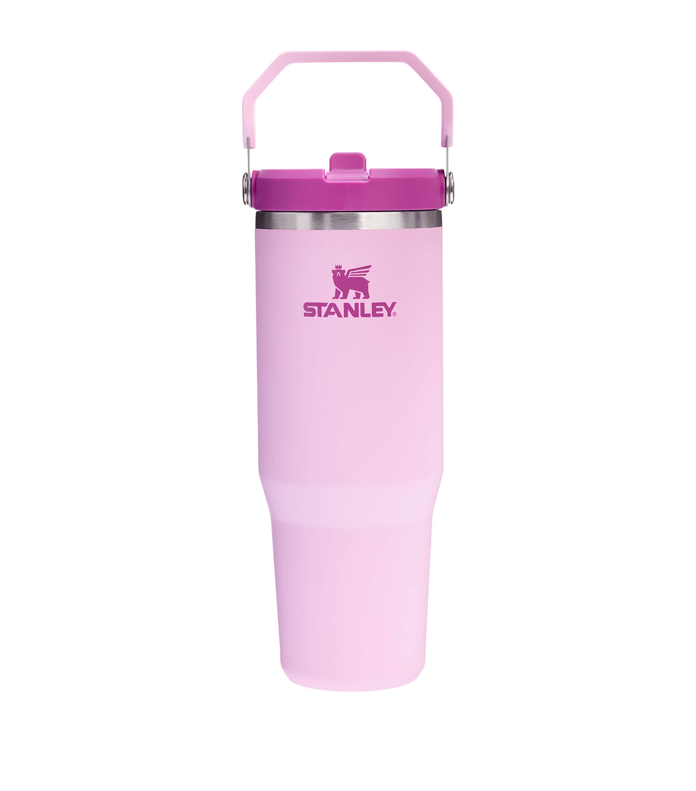 Iceflow 2.0 Flip Straw Tumbler (890ml)