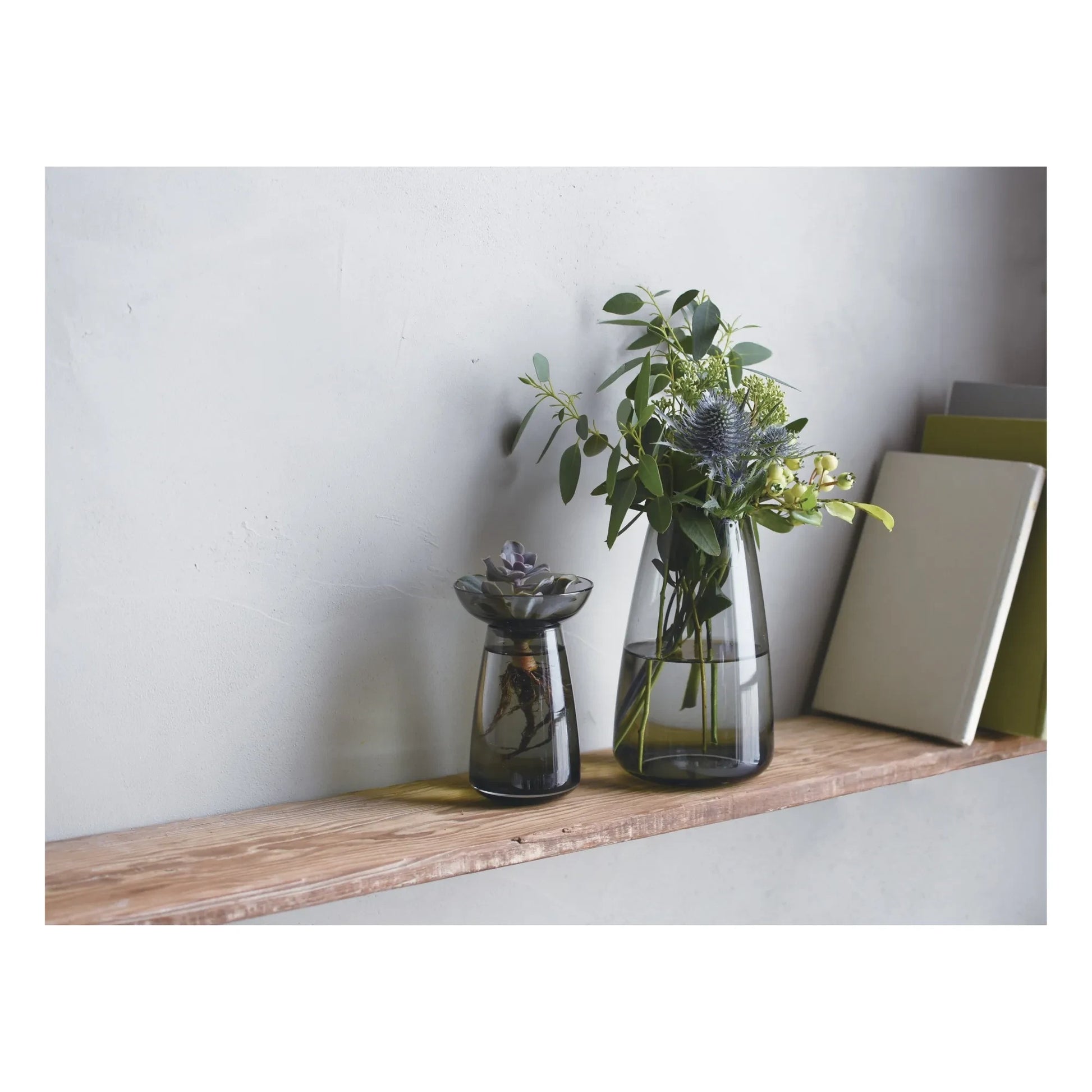 Kinto - Aquaculture Glass Vase | Grey