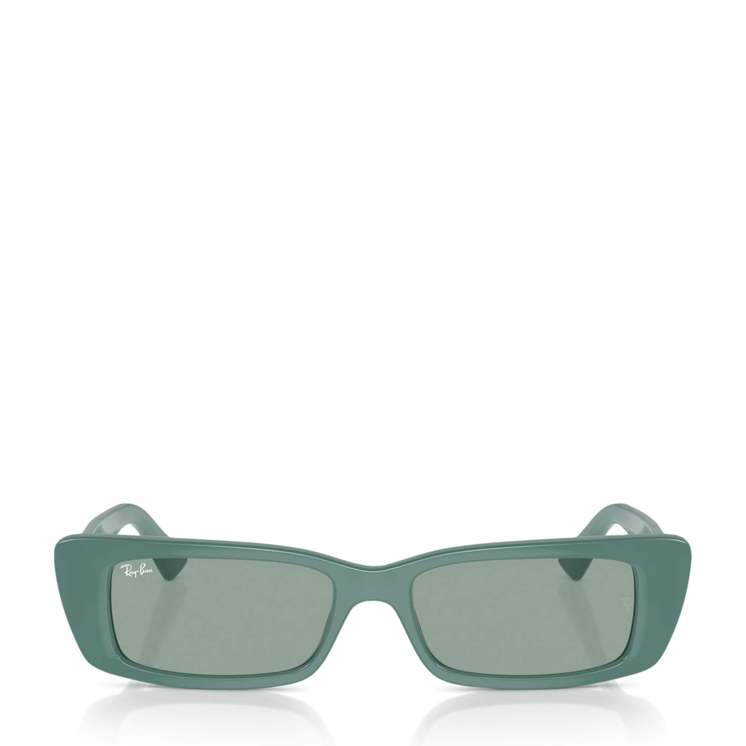 Bio-Based RB4425 Teru Sunglasses