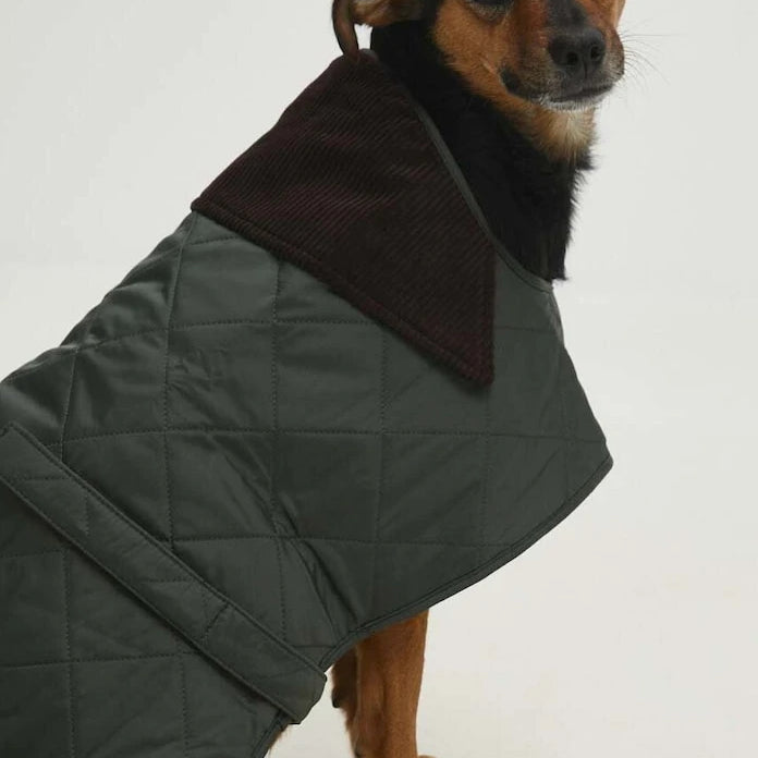 Кучешко палто Barbour