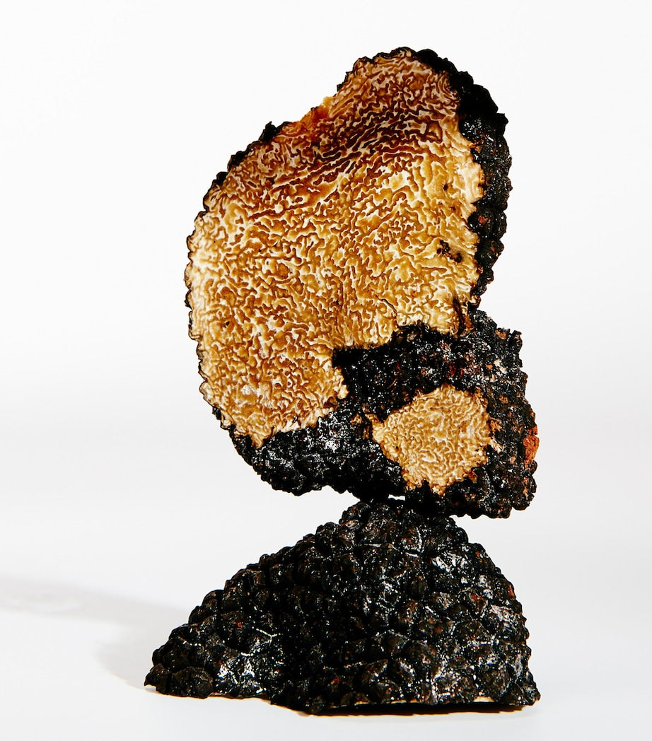 Earth Eau de Parfum (50ml)