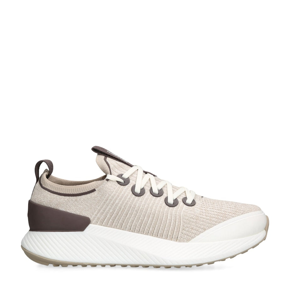 Allbirds Tree Glider Low-Top Sneakers