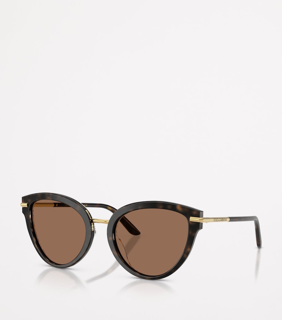 Brown Butterfly Sunglasses