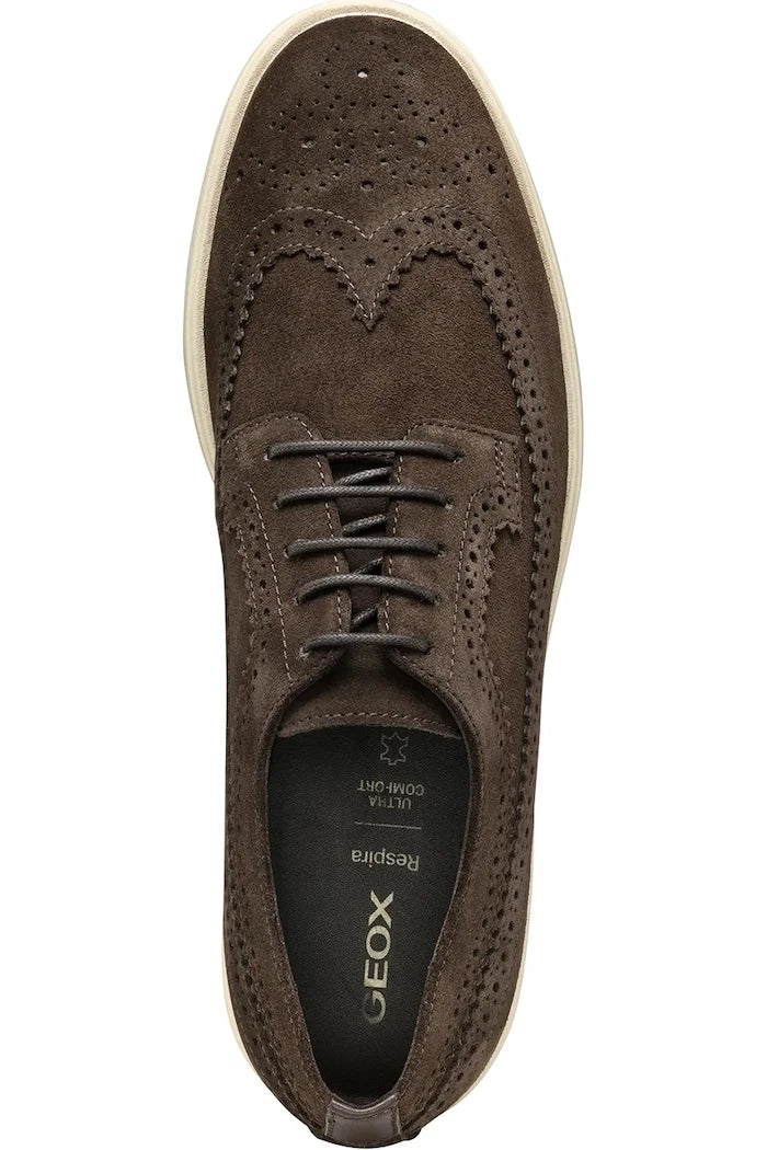 Geox U SPHERICA EC17 Süet Ayakkabı