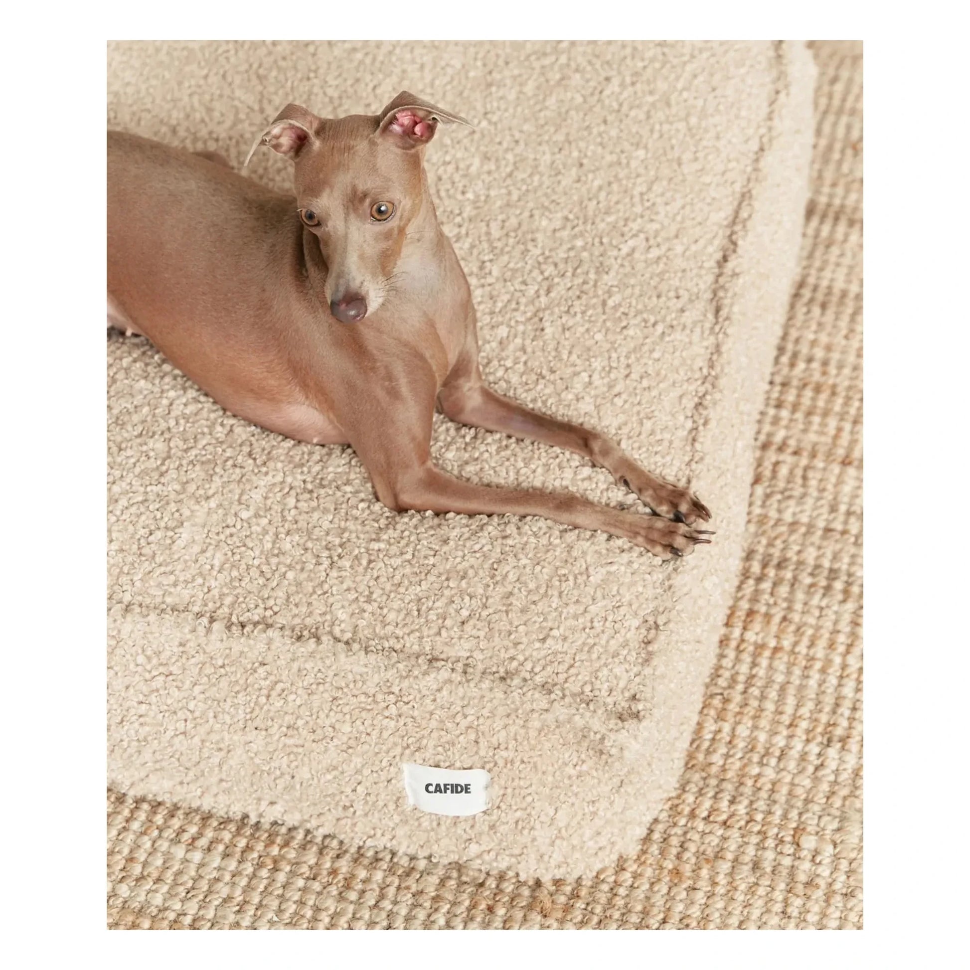 Cafide - Cuadra Buckwheat Dog Mattress | Beige
