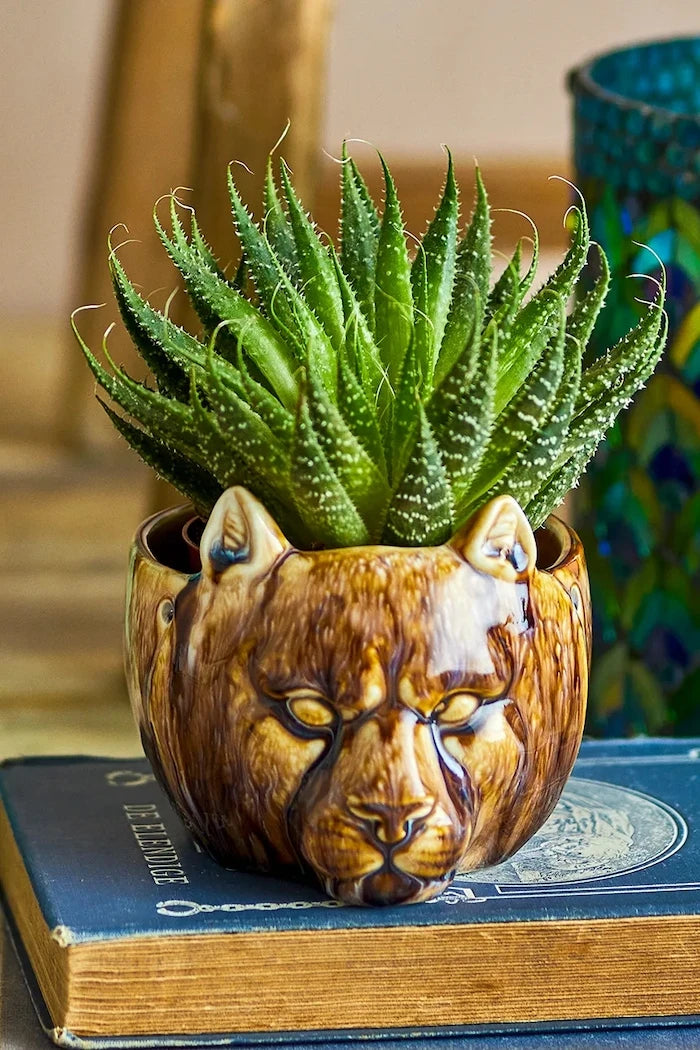 Саксия Bloomingville 13 x 9,5 x 11,5 cm