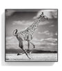 Giraffe Luminous Eye Shade