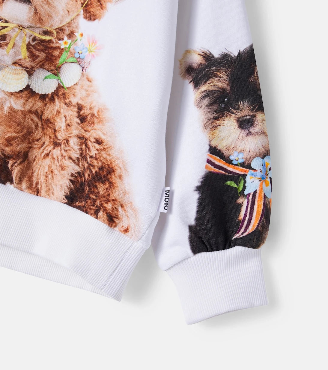 Molo - Maxi printed cotton jersey sweatshirt