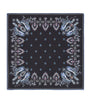 Silk Paisley Print Pocket Square