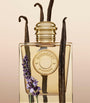 Burberry Goddess Eau de Parfum (50ml)