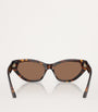 Jimmy Choo Brown Acetate JC5022B Sunglasses